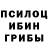 Псилоцибиновые грибы Cubensis Sergey Babchenko