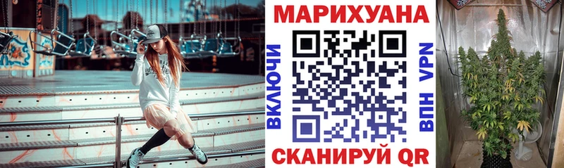 Бошки марихуана конопля  магазин    Щёлково 